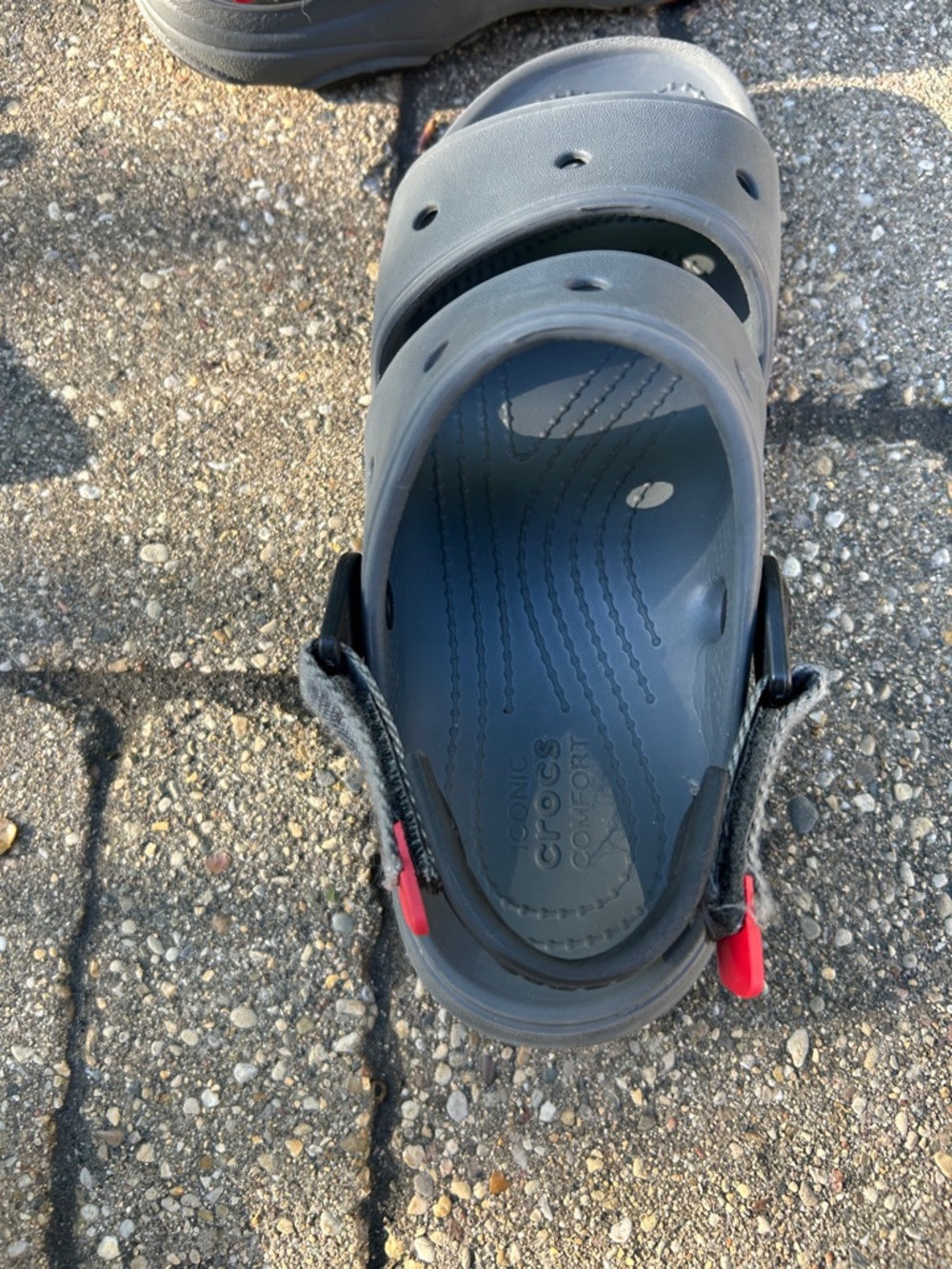 CROCS Black and Red Classic Clog Sandals - Picture 3 of 5